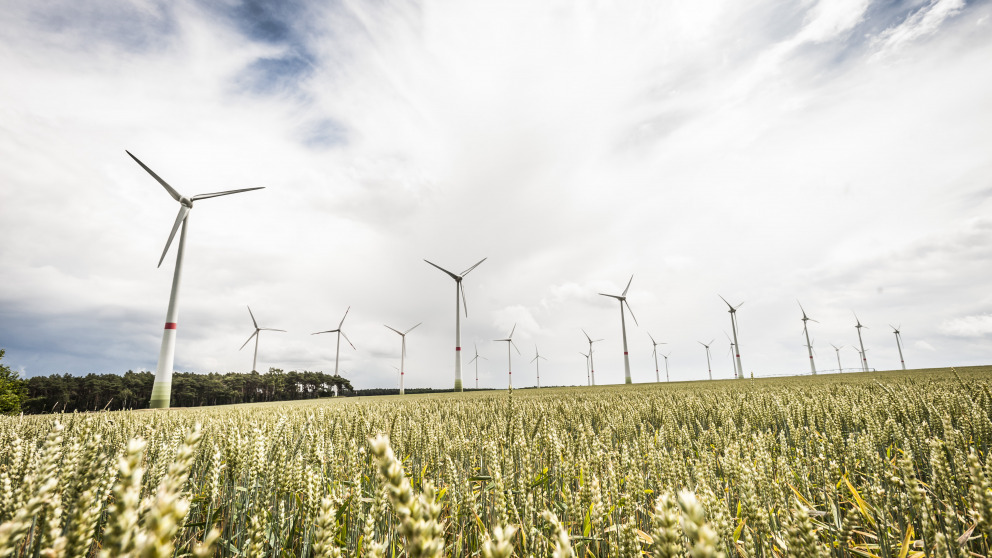 Europa will die Umstellung auf erneuerbare Energien schaffen. Dabei ist es wichtig, Zielkonflikte mit anderen politischen Zielen rechtzeitig zu erkennen und Lösungen zu entwickeln.